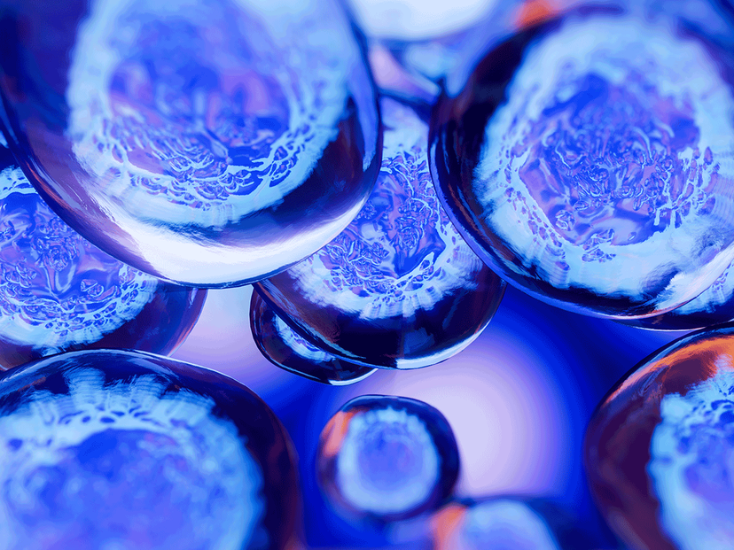 H.C. Wainwright Cuts Jasper Therapeutics Price Target Following Asthma Study Halt
