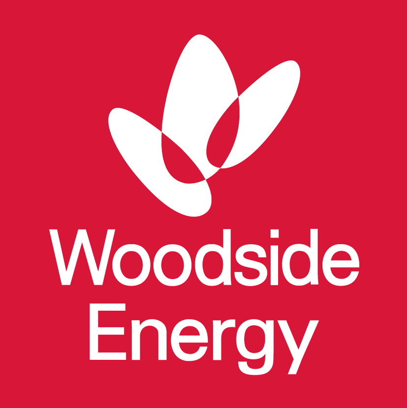 Woodside Energy Group Ltd (NYSE:WDS) Earnings Report Highlights
